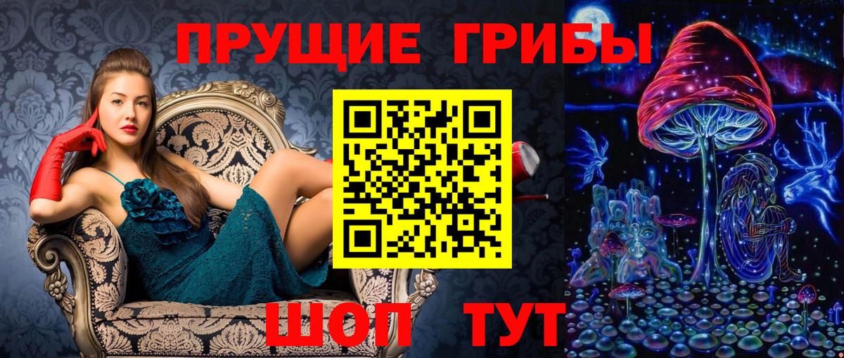 Псилоцибиновые грибы прущие грибы  Вход с VPN  Королёв 