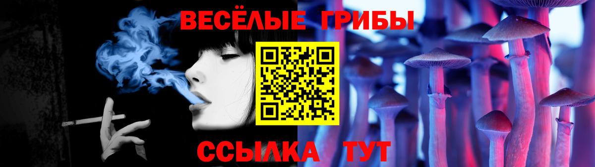 Галлюциногенные грибы GOLDEN TEACHER Королёв